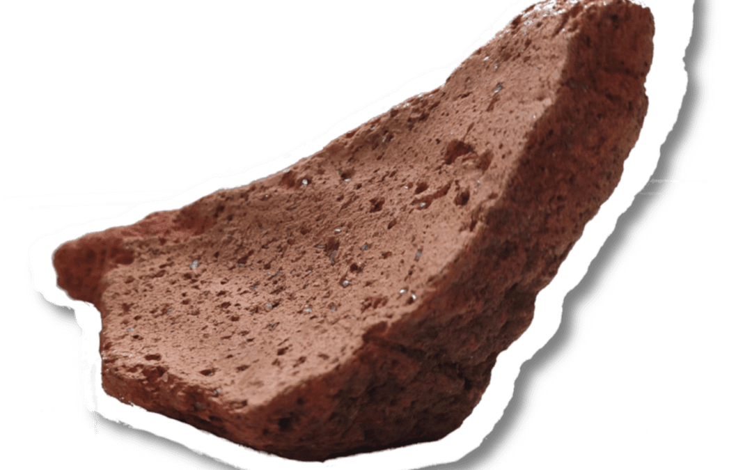 NAAM archaeologists at the 30th Congress of the International Association for Caribbean Archaeology 